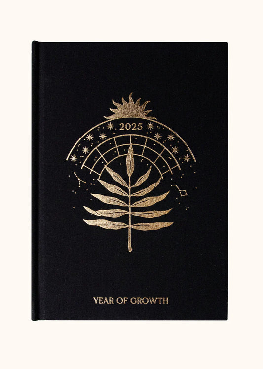 2025 YEAR OF GROWTH BOOK - A daily diary by Dreamy Moons