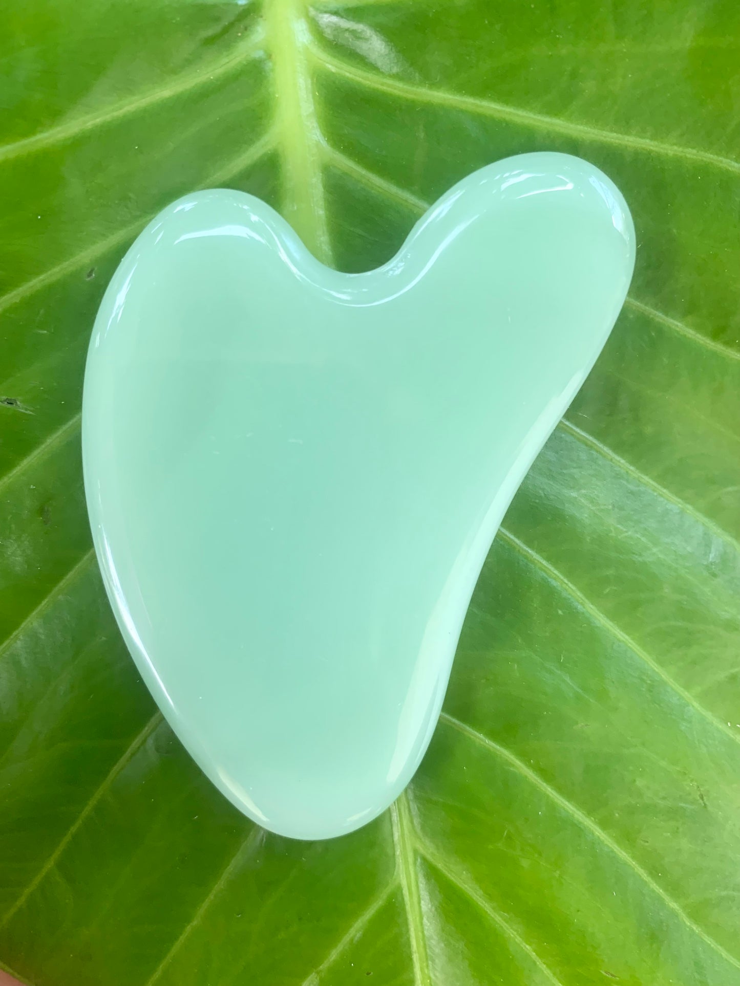 GUA SHA STONE - Facial Massage Tool                         Jade | Clear Quartz