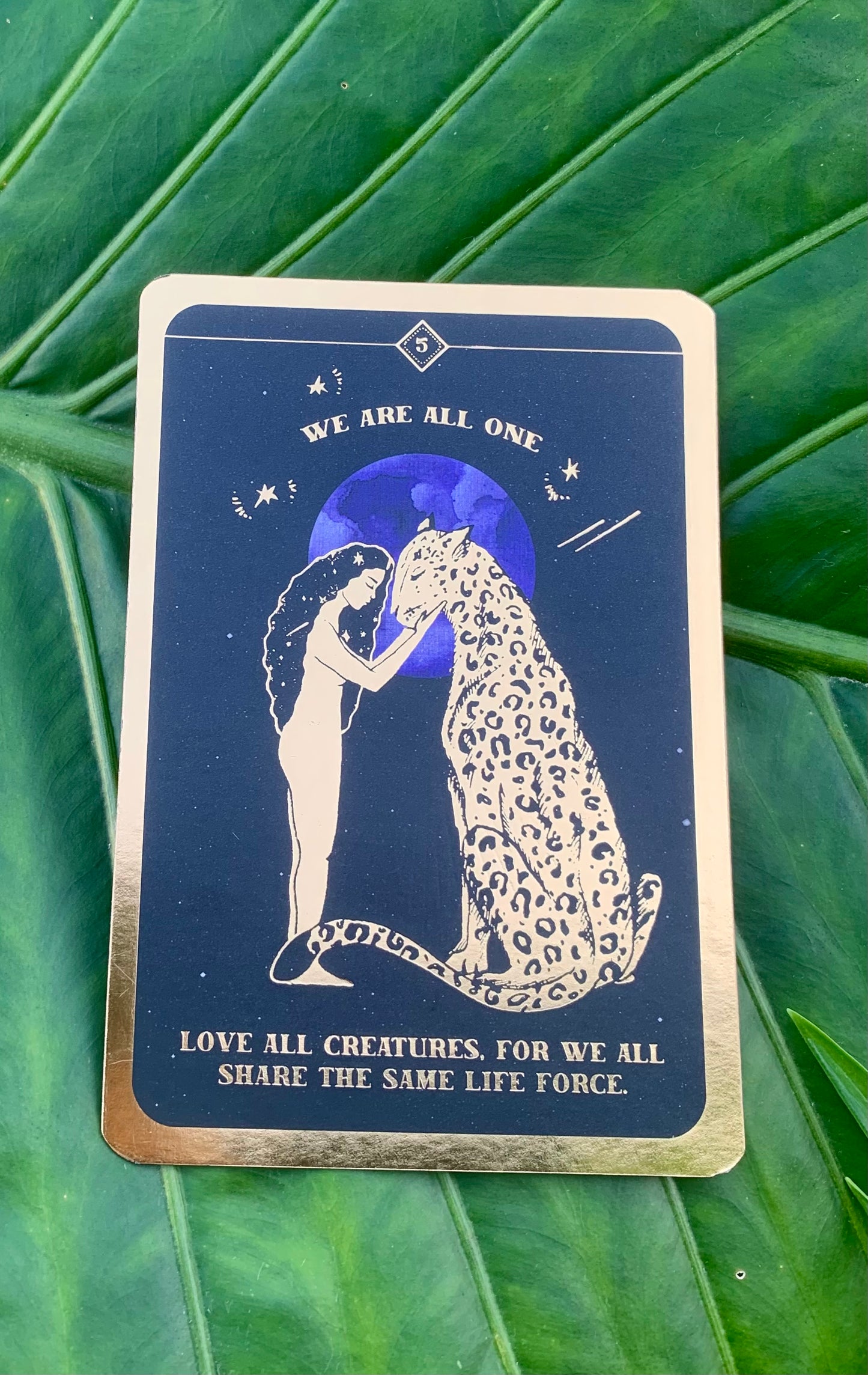 SOUL WHISPERS CARD DECK - By ‘Dreamy Moons’