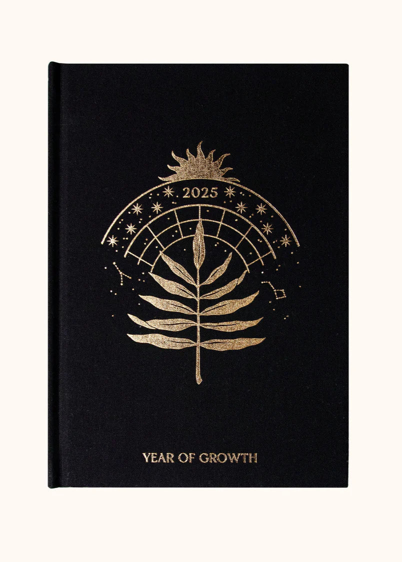 2025 YEAR OF GROWTH BOOK - A daily diary by Dreamy Moons