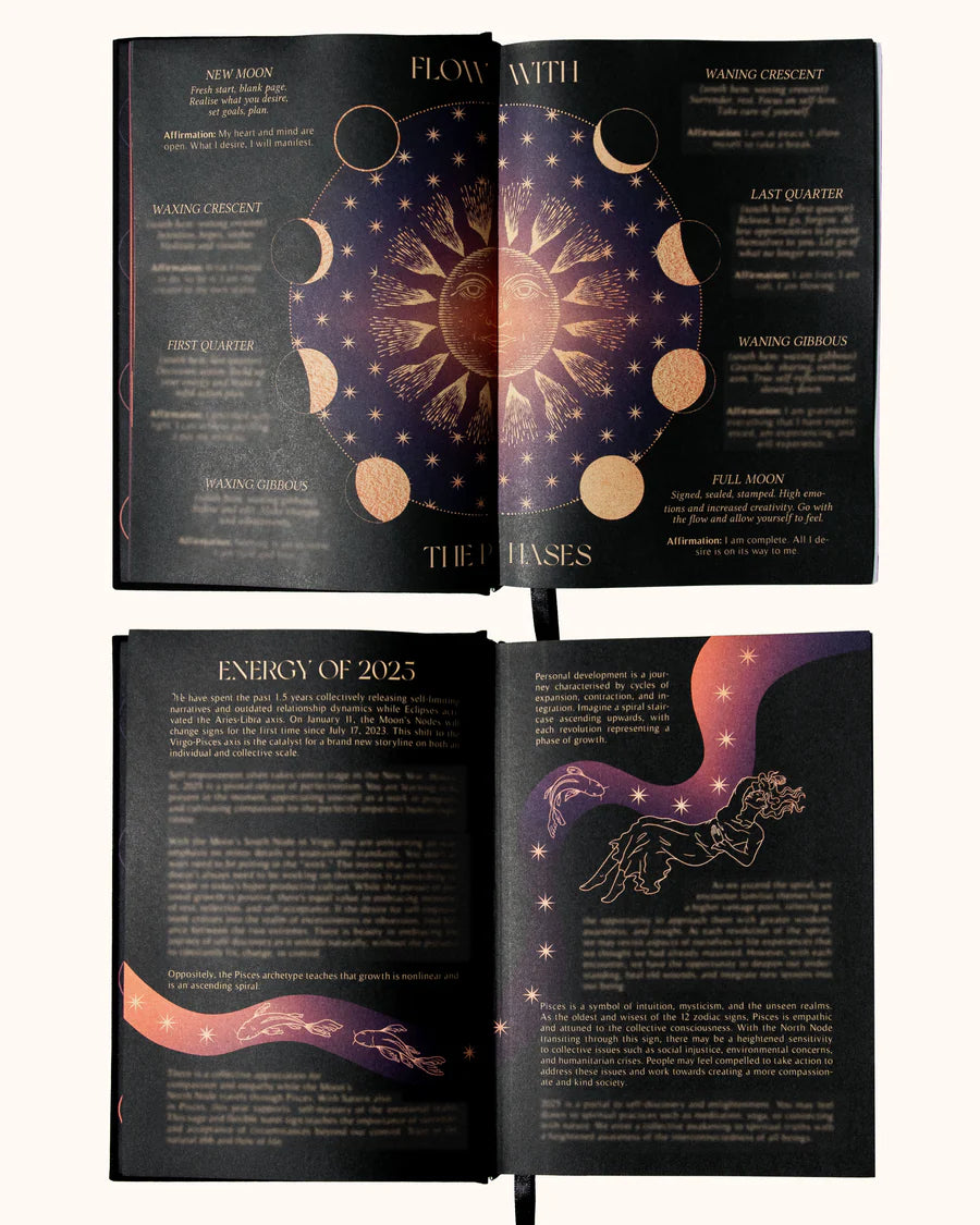 2025 YEAR OF GROWTH BOOK - A daily diary by Dreamy Moons