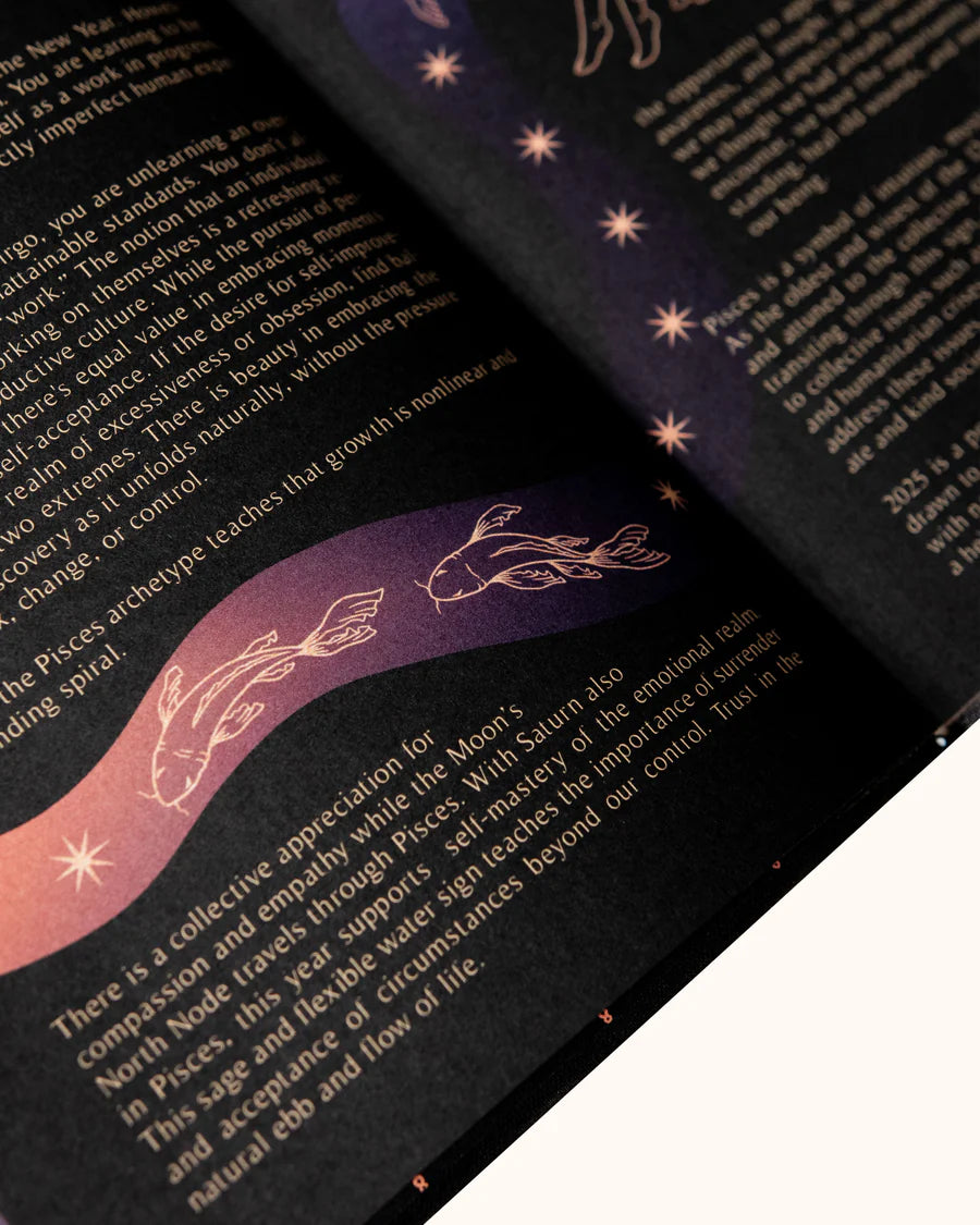 2025 YEAR OF GROWTH BOOK - A daily diary by Dreamy Moons