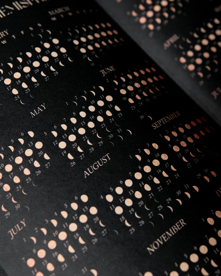 2025 YEAR OF GROWTH BOOK - A daily diary by Dreamy Moons