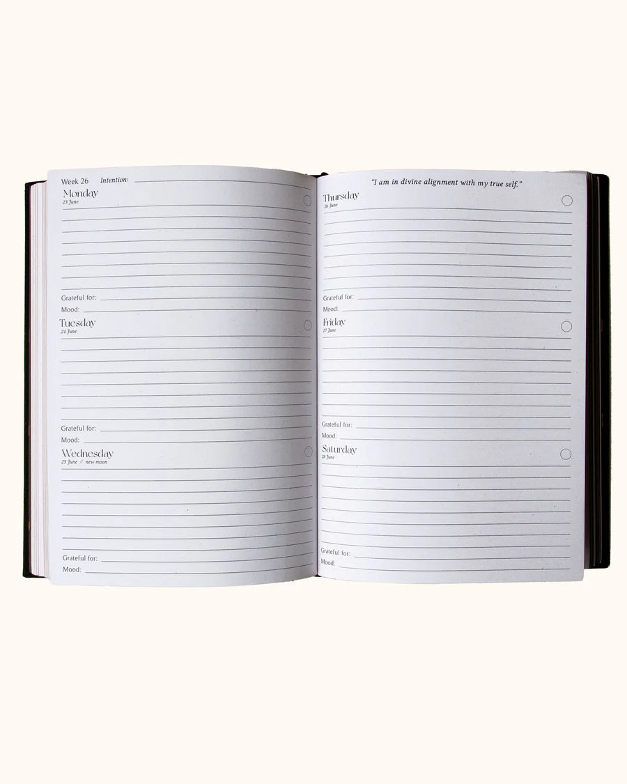 2025 YEAR OF GROWTH BOOK - A daily diary by Dreamy Moons