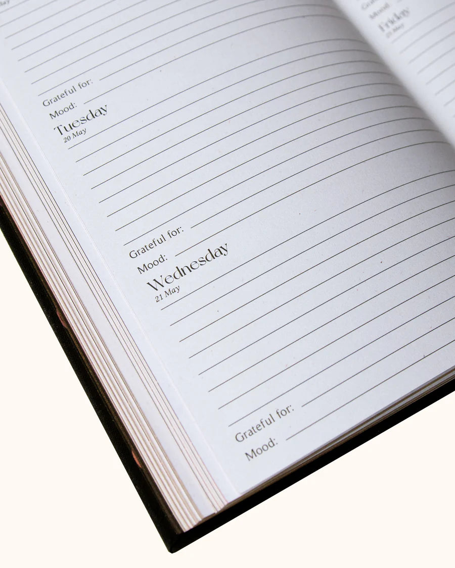 2025 YEAR OF GROWTH BOOK - A daily diary by Dreamy Moons