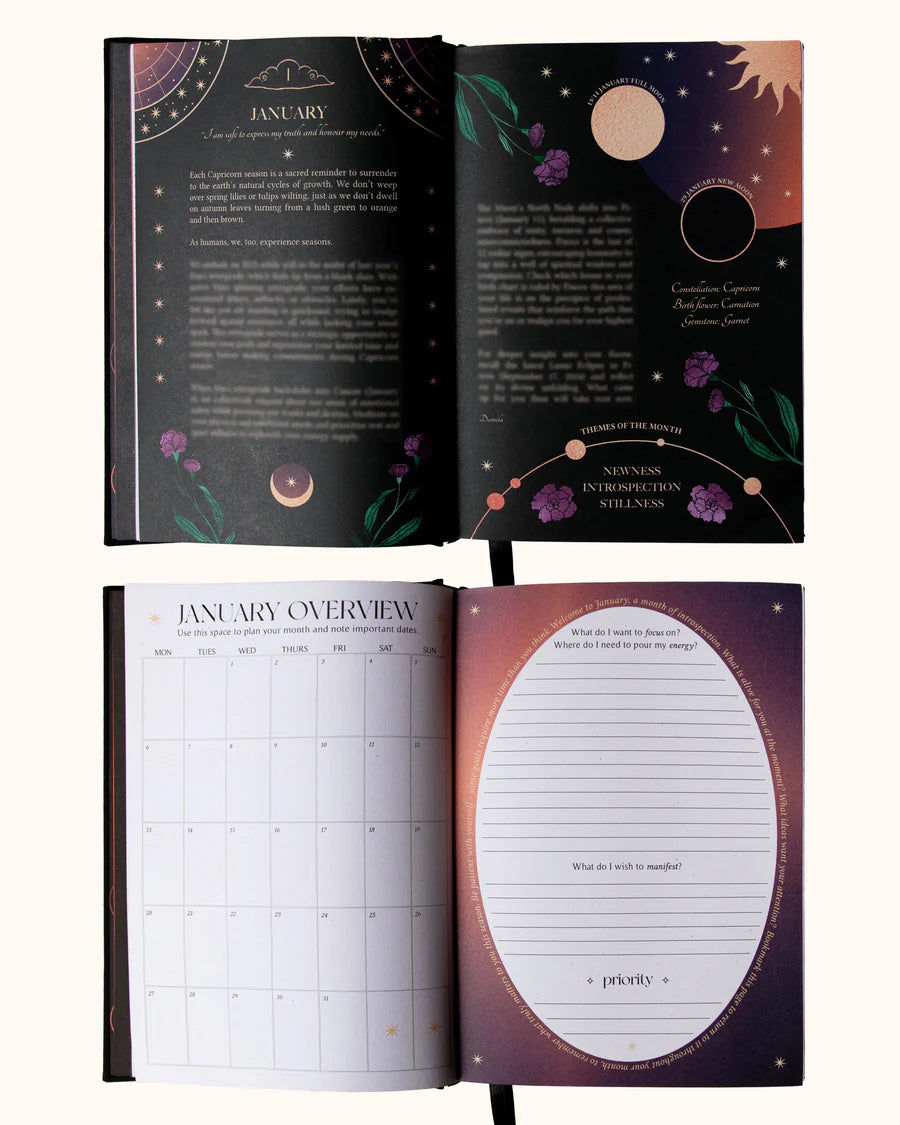 2025 YEAR OF GROWTH BOOK - A daily diary by Dreamy Moons