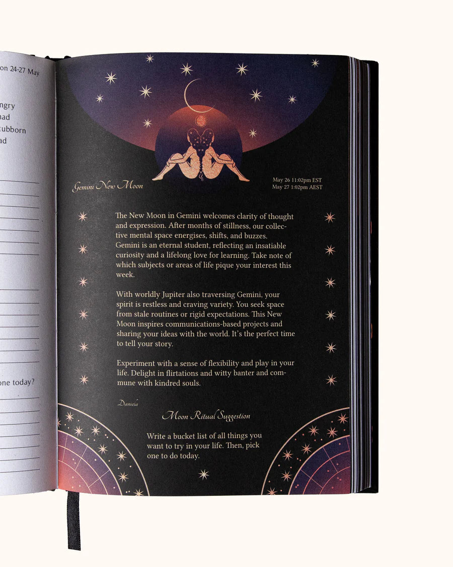 2025 YEAR OF GROWTH BOOK - A daily diary by Dreamy Moons