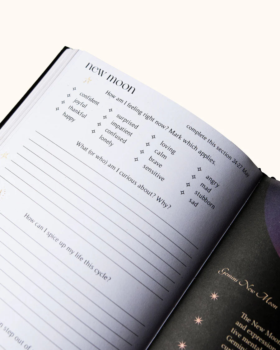 2025 YEAR OF GROWTH BOOK - A daily diary by Dreamy Moons