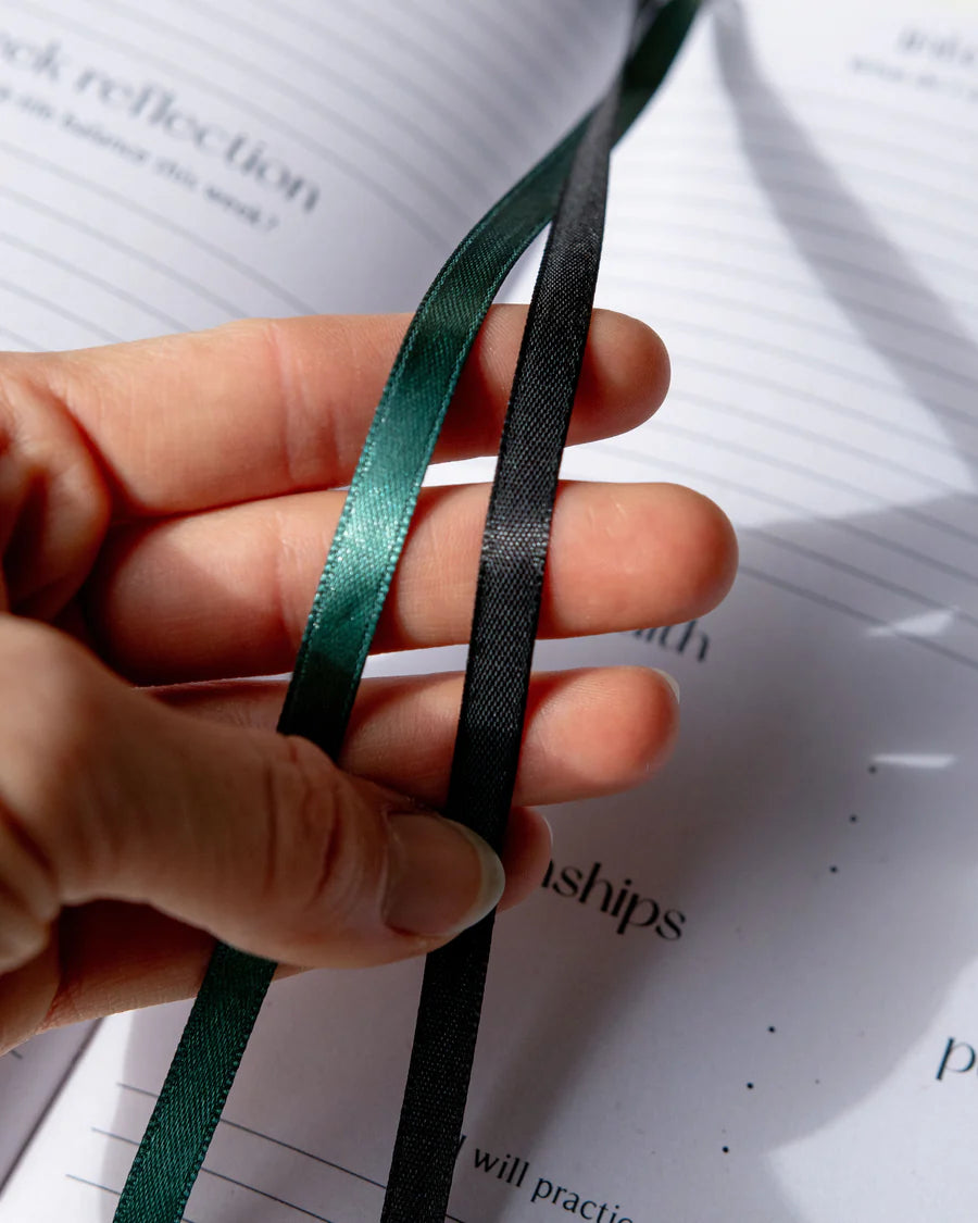 2025 YEAR OF GROWTH BOOK - A daily diary by Dreamy Moons