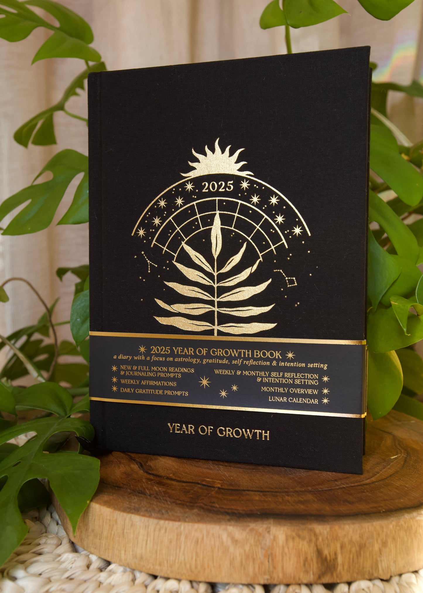 2025 YEAR OF GROWTH BOOK - A daily diary by Dreamy Moons